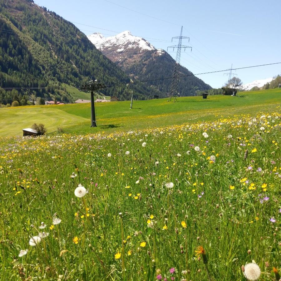 Stier Apartment St. Anton am Arlberg Eksteriør bilde